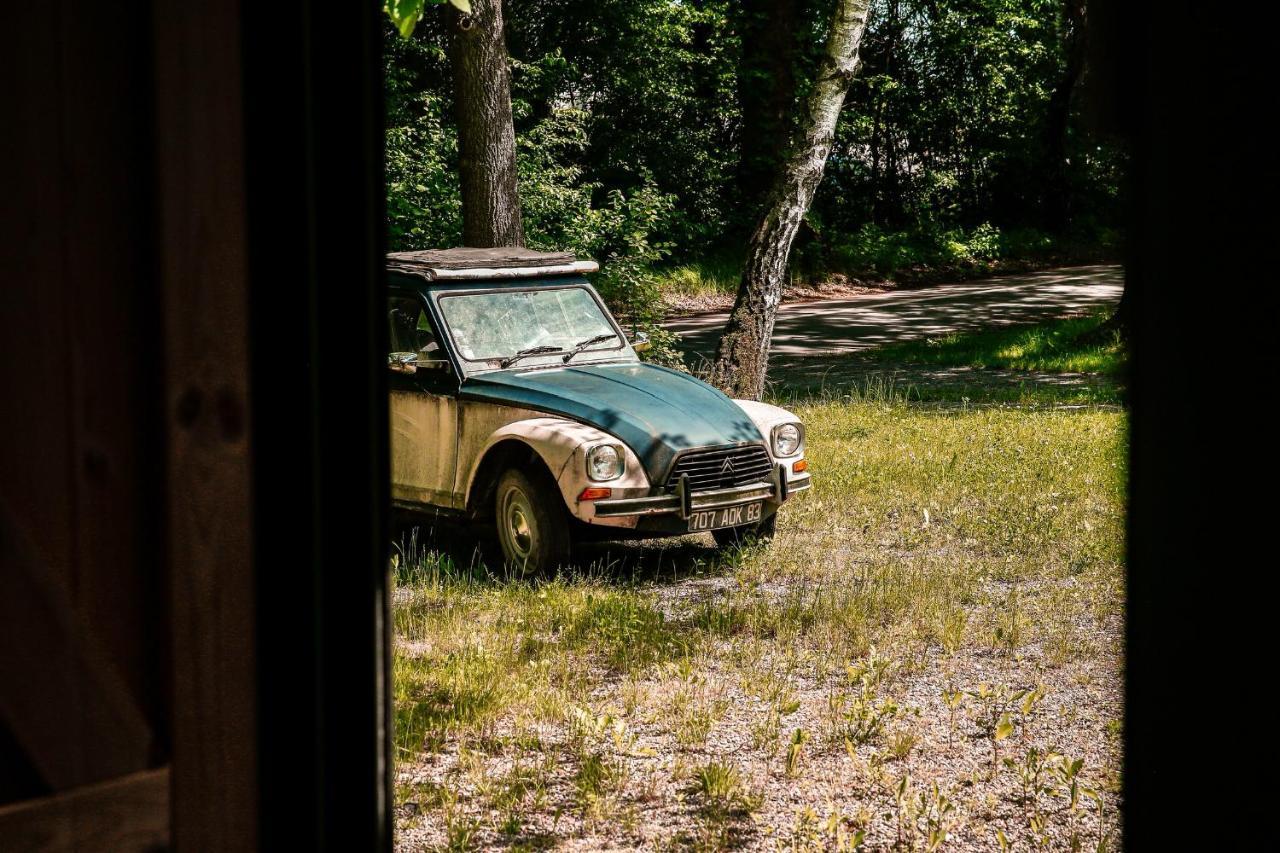 Nature House Pszczyna Dış mekan fotoğraf